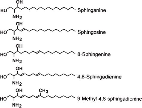 Structures Of The Prepared Sphingoid Bases Download Scientific Diagram