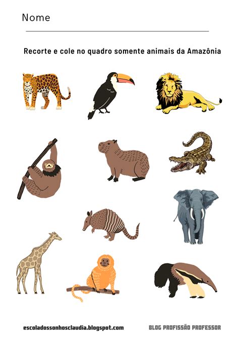 Animais Em Espanhol 4