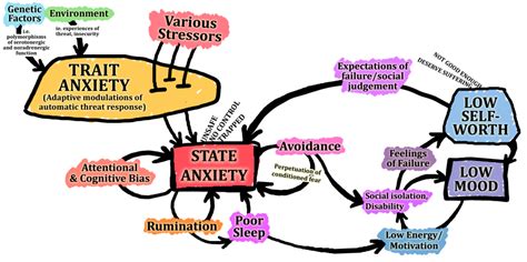 Anxiety Disorders Chart