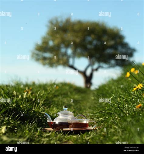 Big Blue Teapot Hi Res Stock Photography And Images Alamy