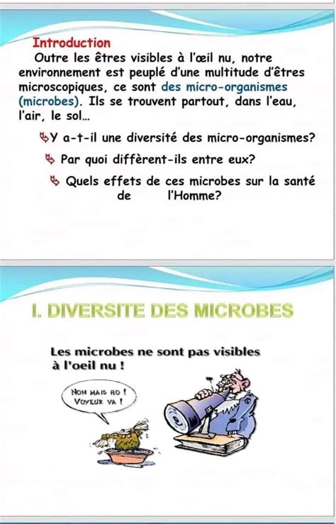 Re Ann E Secondaire Sciences Svt Diversit Du Monde Microbien Re