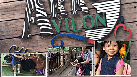 Ark Avilon Zoo Pasyal At Experience ️ Ang Saya Youtube