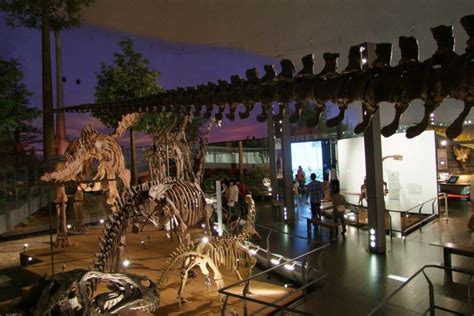 Fukui Prefectural Dinosaur Museum Fukui Attractions Japan Travel