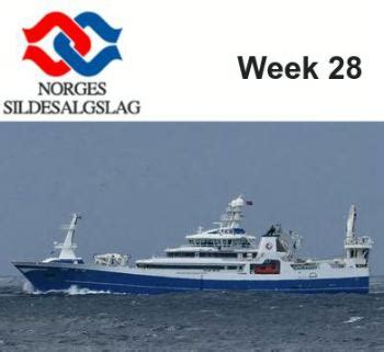 Fis Compa As Y Productos El Curso De Pesca Pel Gica Noruega En La