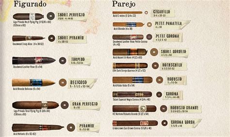 Cigar Sizes Shapes And Ring Gauges Cigars International Cigar 101