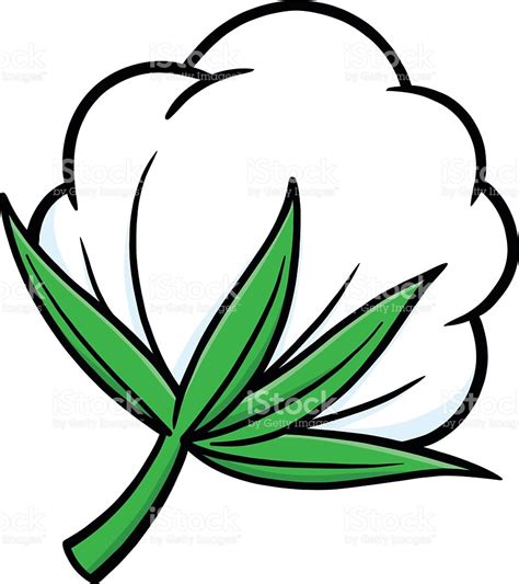 Cotton plant clipart 18 free Cliparts | Download images on Clipground 2025