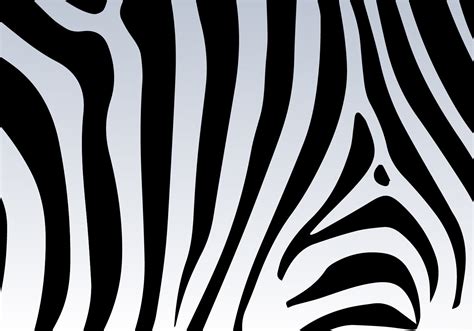 Zebra Print Font Free Download