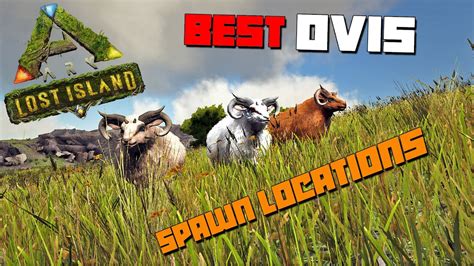 Ark Lost Island Best Ovis Spawn Locations Youtube