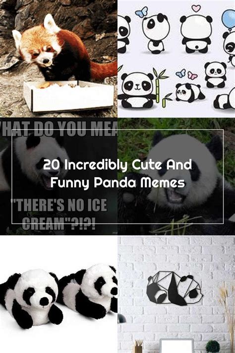 Pandas 20 Incredibly Cute And Funny Panda Memes | Panda, Funny, Cute