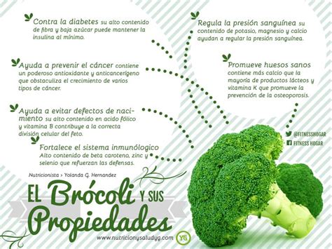 Brócoli Propiedades Y Beneficios ⋆ Nutrición Y Salud Y G Brocoli