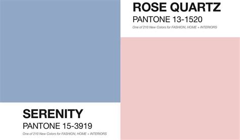 Pantone I Nuovi Colori Per Il Tuo Brand Area Domani