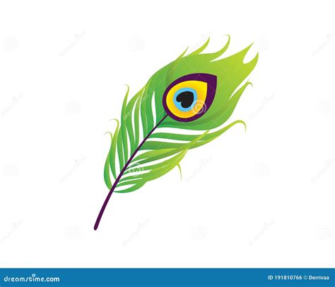 Detailed Elegant Peacock Feather Illustration Stock Vector