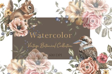 vintage botanical collection