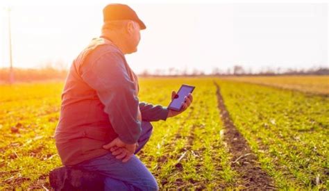 En El Pa S La Conectividad Rural A Internet Ya Llega A Un Mill N De