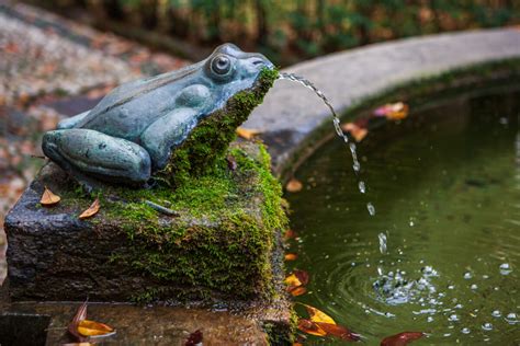 Fontana Da Giardino Fai Da Te Idee Di Riciclo