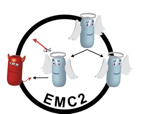 Page Equipe Barre Institute For Integrative Biology Of The Cell