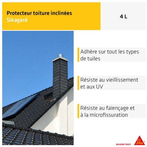 Peinture De Protection Sika Sikagard Protection Toiture Inclin E