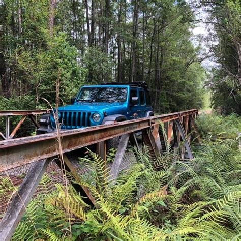 Bikini Saturday Jeep Wrangler Forum