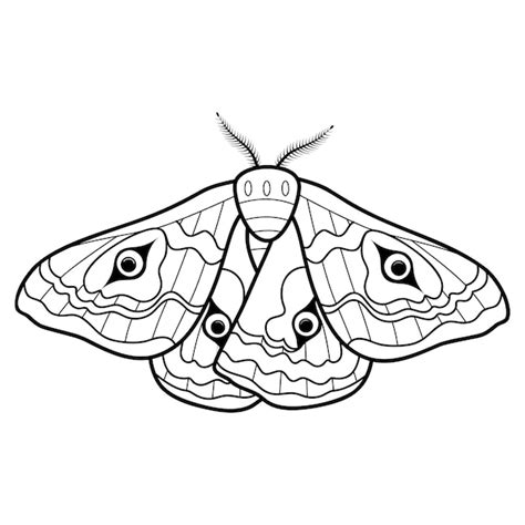 Livre De Coloriage Ou Page Pour Les Enfants Vecteur De Papillon Noir