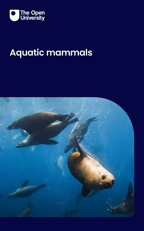 Aquatic mammals: understanding their features and role in evolution by ...