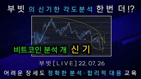 비트코인 부빗 각도기 분석 하락 레전드 한번 더나왔다 또 한번 더 나오면 전설 220726 알트코인 주식