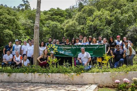 Projeto Floresta MetLife reúne colaboradores da companhia em prol do