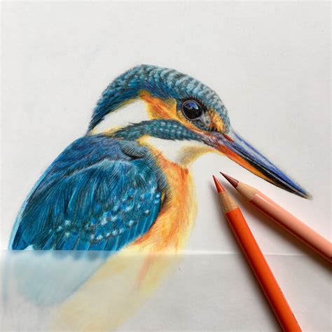 De Ligny Creations Kingfisher In Colored Pencil