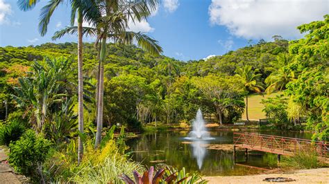 Things To Do In Kuranda In 2024 Expedia