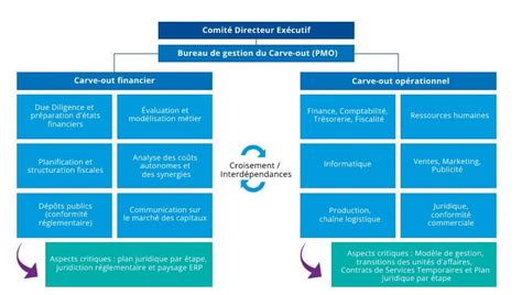 Carve Out Finance Obstacles Et Facteurs De R Ussite