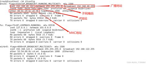 Linux网络设置查看ens33网卡配置信息的命令是 Csdn博客