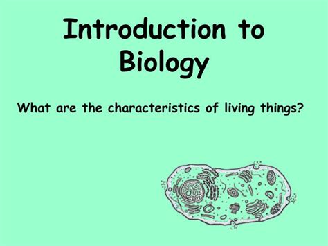 Ppt Introduction To Biology Powerpoint Presentation Free Download