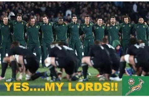 Springboks Beat All Blacks In New Zealand Jokes Memes And Viral