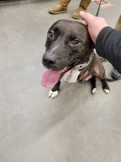 Oh Fuck R Letterkenny