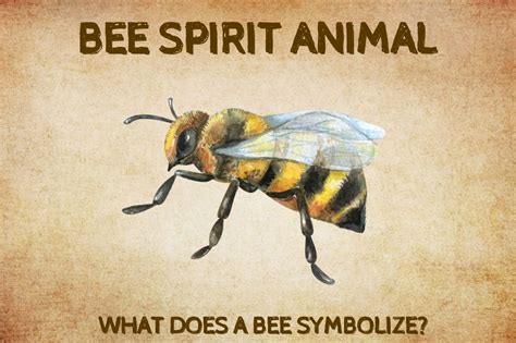 Bee Spirit Animal What Does A Bee Symbolize