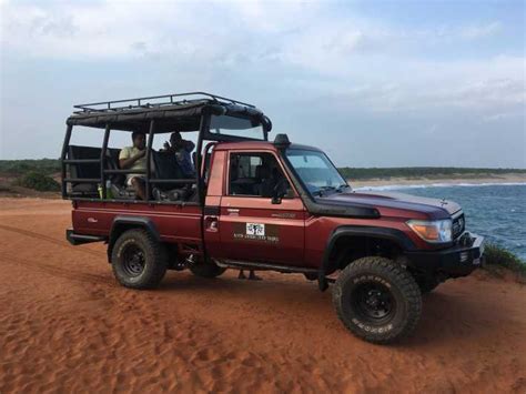 Parc National De Yala Safari L Opard Journ E Compl Te Avec D Jeuner