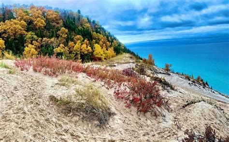 Fresh Coast Wonders: Discover Sand Dunes in Michigan