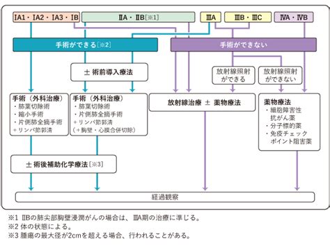 肺がん 全ページ： 国立がん研究センター がん情報サービス 一般の方へ