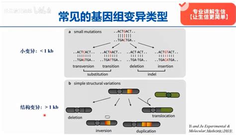 基因变异类型and基因融合gene Fusion的种类及注释 Csdn博客