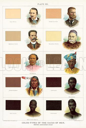 Colour Types Of The Races Of Men British Association Scale Stock Image