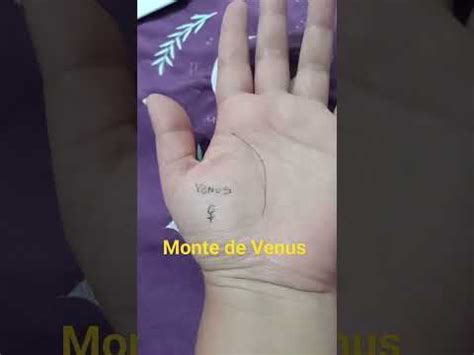 Monte De Vênus Masculino - Monte de Venus: Qué es, su Anatomía y Cuidado Íntimo [Guía Viral ...