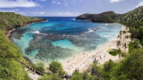 Hanauma Bay Nature Preserve Top Oahu Snorkel Spot