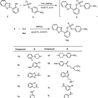 Scheme Synthesis Of New Phosphoramidatesof Benzo D Thiazol Yl