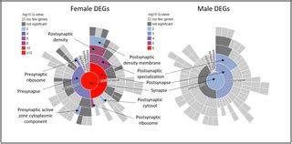 Social isolation-induced transcriptomic changes in mouse hippocampus ... 