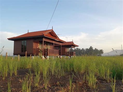 7 Aktiviti Di Teratak Toksu Hilang Stress Tengah Sawah RM80 Je