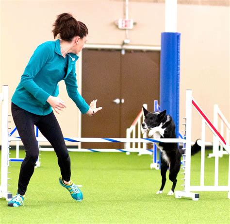 UKI Agility Trials at WAGD! - What a Great Dog!