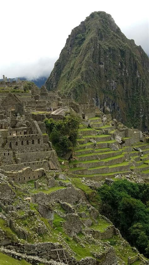 Machu Picchu - Cusco, Peru. Original photography by R. Stowe. | Picchu ...