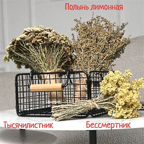 Веники для бани и сауны банный набор. Запарка для парной ( полынь ...