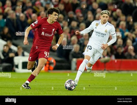 Liverpool UK 21st Feb 2023 Stefan Bajcetic Of Liverpool And