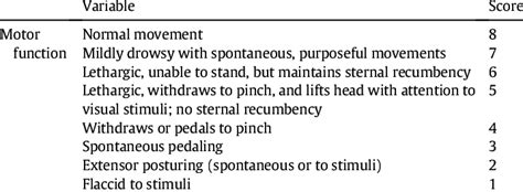 Motor score scale of neurologic outcome. | Download Table