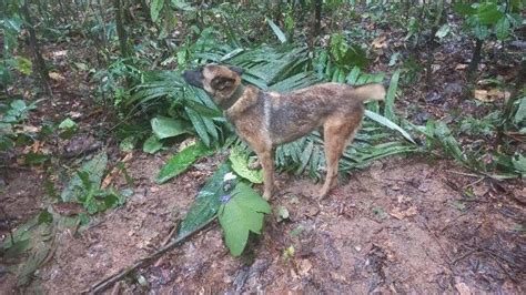 Vermisste Kinder Im Amazonas Gefunden Helfer Beschreibt Moment Der